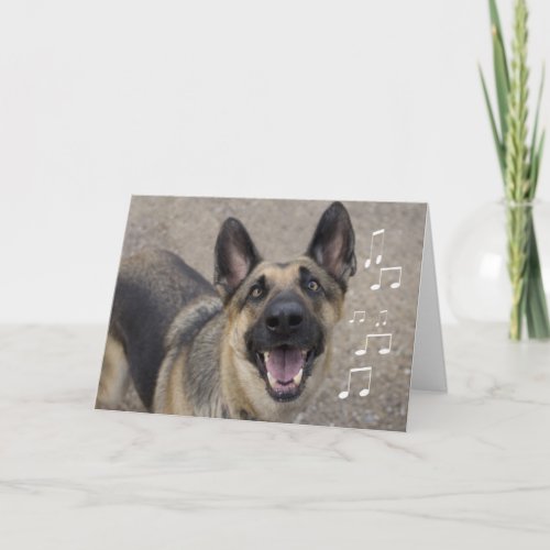 German Shepherd Birthday Card