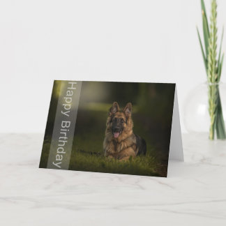 german shepherd birthday card