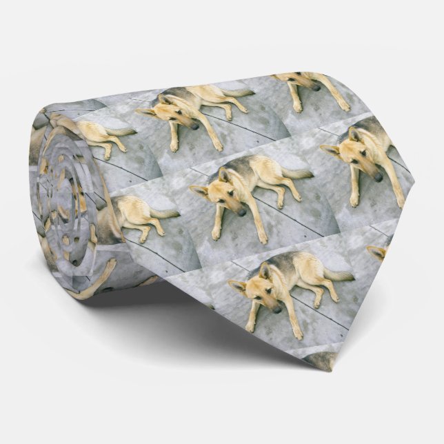 german shepherd black and cream laying neck tie (Rolled)