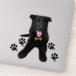 German shepherd black puppy sticker
