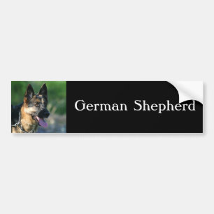 German Shepherd bumper sticker