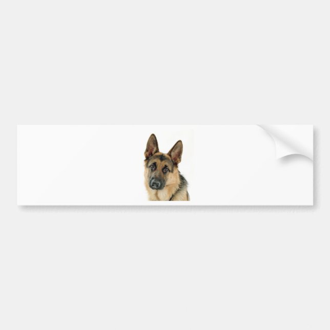 German Shepherd Bumper Sticker (Front)