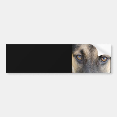 German Shepherd Bumper Sticker