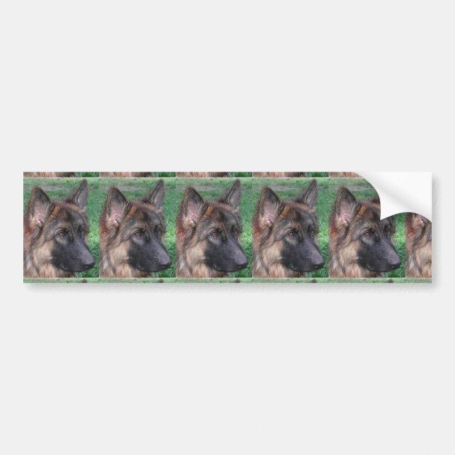 german shepherd bumper sticker (Front)