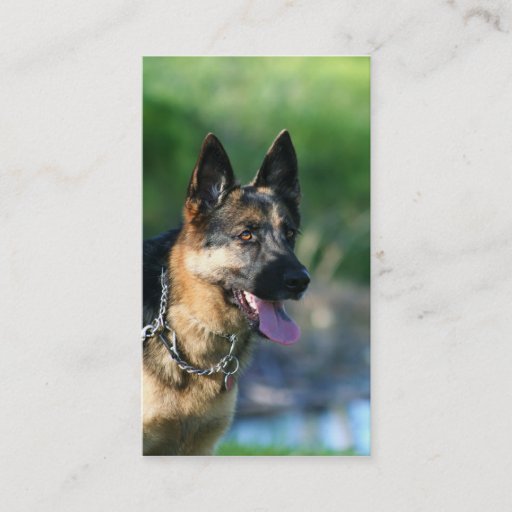 Customizable German Shepherd business cards