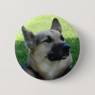 German Shepherd Button