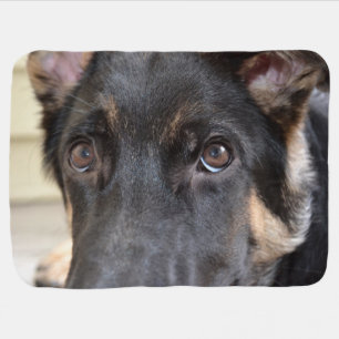 German Shepherd by Shirley Taylor Baby Blanket