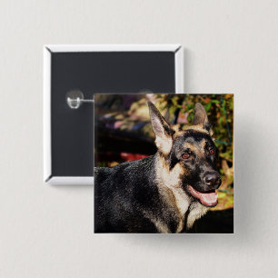 German Shepherd by Shirley Taylor Button