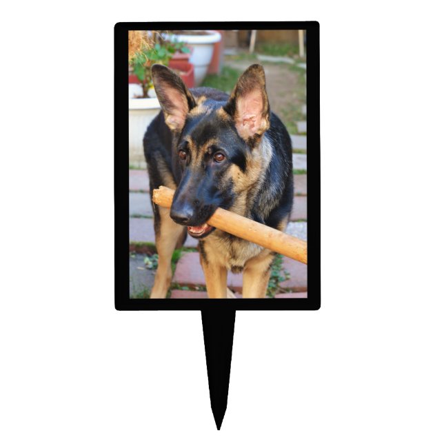 German Shepherd by Shirley Taylor Cake Topper (Front)