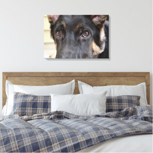 German Shepherd by Shirley Taylor Canvas Print