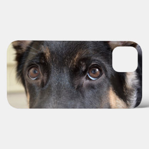 German Shepherd by Shirley Taylor iPhone 13 Case