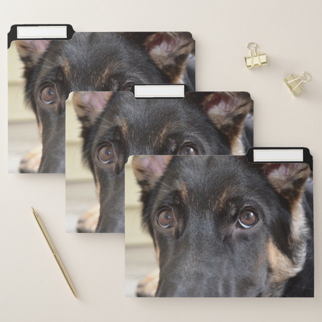 German Shepherd by Shirley Taylor File Folder (Set)