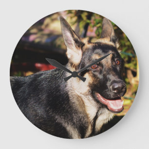 German Shepherd by Shirley Taylor Large Clock
