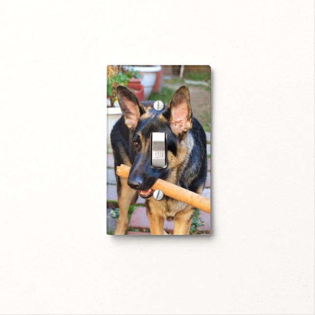 German Shepherd by Shirley Taylor Light Switch Cover (In Situ)