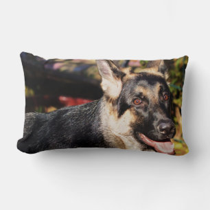 German Shepherd by Shirley Taylor Lumbar Pillow