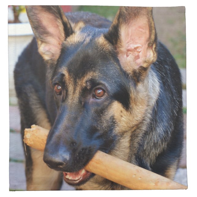 German Shepherd by Shirley Taylor Napkin (Front)