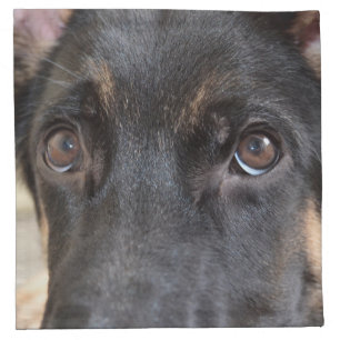 German Shepherd by Shirley Taylor Napkin