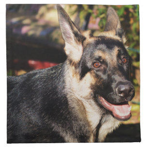 German Shepherd by Shirley Taylor Napkin