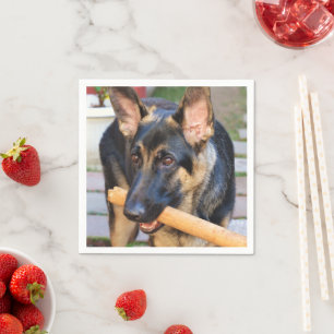 German Shepherd by Shirley Taylor Napkins