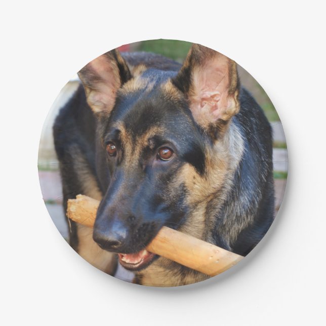German Shepherd by Shirley Taylor Paper Plates (Front)