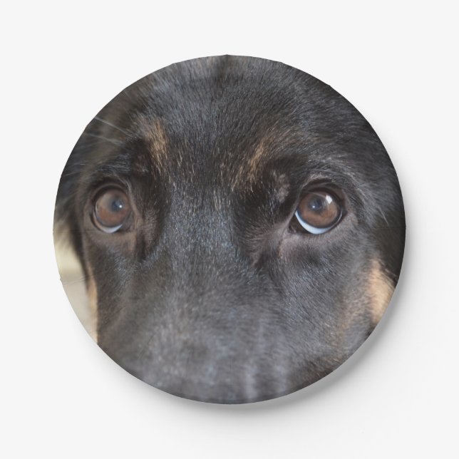 German Shepherd by Shirley Taylor Paper Plates (Front)