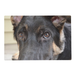 German Shepherd by Shirley Taylor Placemat