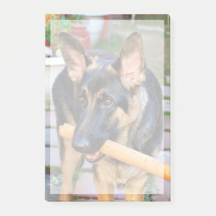 German Shepherd by Shirley Taylor Post-it Notes