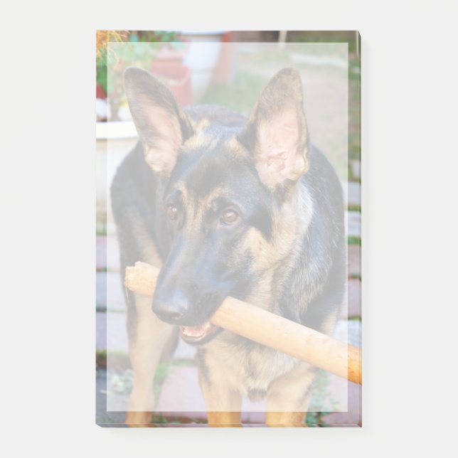 German Shepherd by Shirley Taylor Post-it Notes (Front)