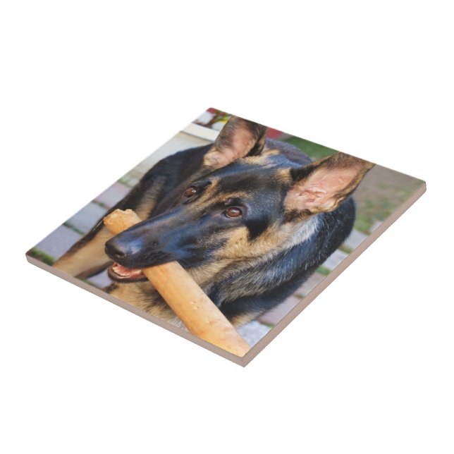 German Shepherd by Shirley Taylor Tile (Side)