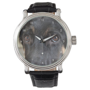 German Shepherd by Shirley Taylor Watch