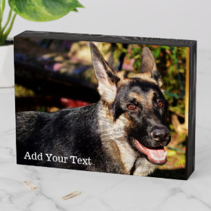 German Shepherd by Shirley Taylor Wooden Box Sign