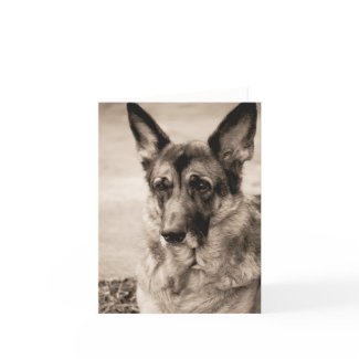 German Shepherd Card card