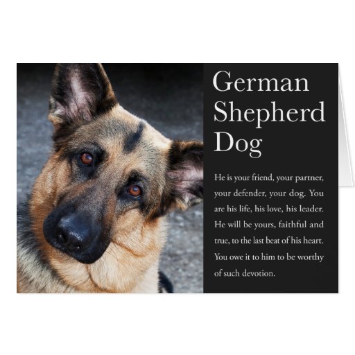 German Shepherd Card | Zazzle