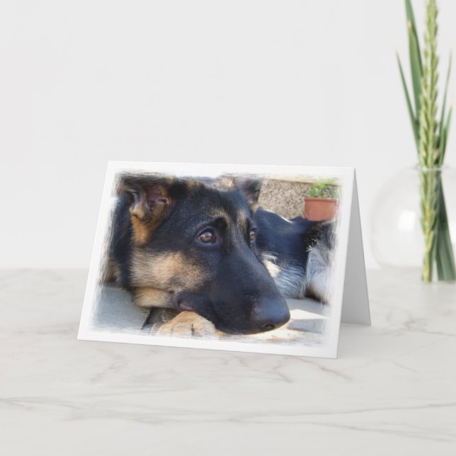 German Shepherd Card (Front)