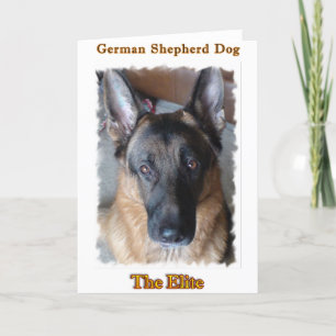 German Shepherd Card