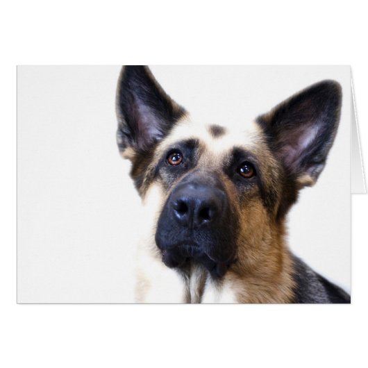 German Shepherd Card (Front Horizontal)