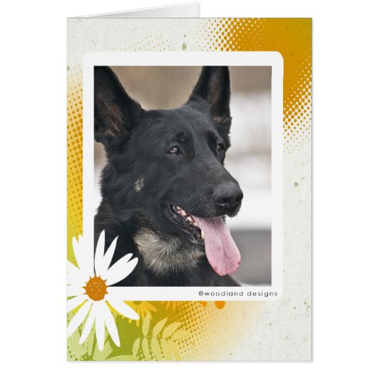 German Shepherd Card (Front)