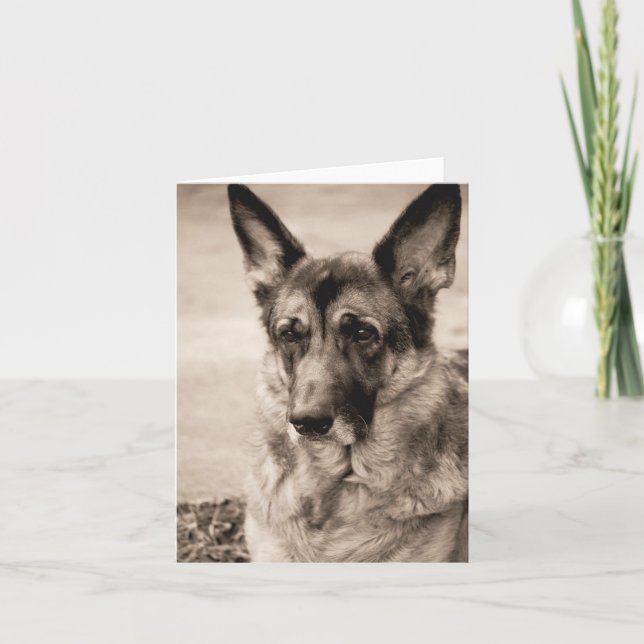German Shepherd Card (Front)