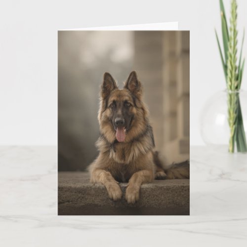 German Shepherd card