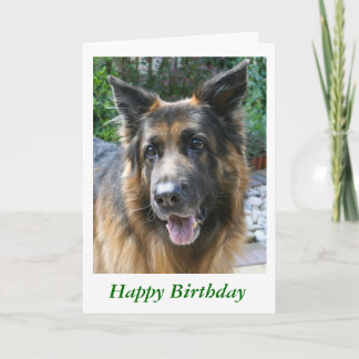 German Shepherd Card