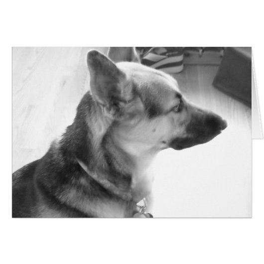 German Shepherd Cards (Front Horizontal)
