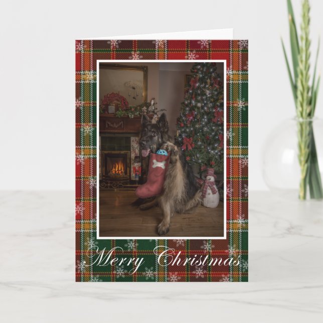 German shepherd christmas card (Front)