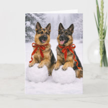 German Shepherd Christmas Card
