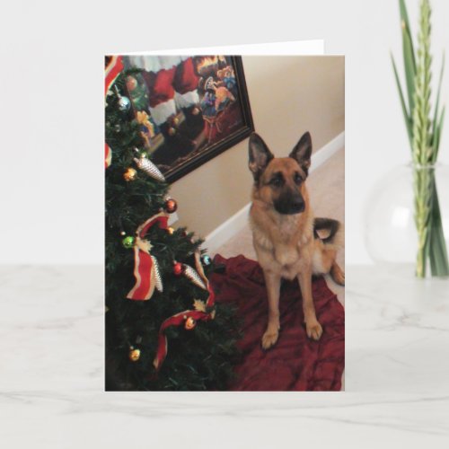 German Shepherd Christmas Card