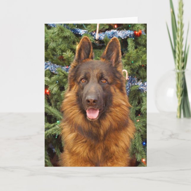 German Shepherd Christmas Card (Front)