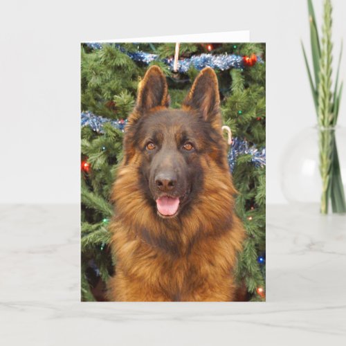 German Shepherd Christmas Card