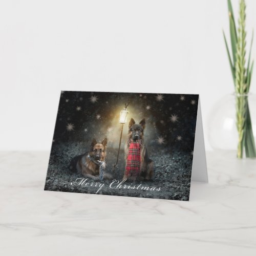 german shepherd christmas card card