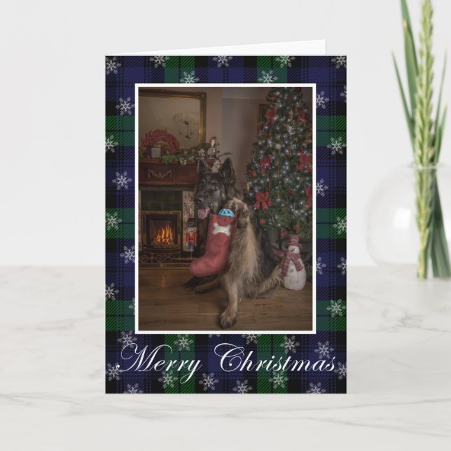 German shepherd christmas Folded Holiday Card (Front)