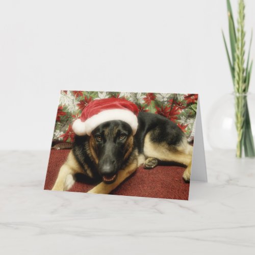 German Shepherd _ Christmas Holiday Card