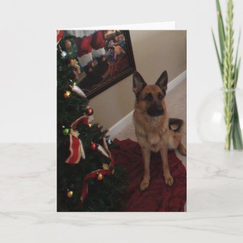 German Shepherd Christmas Holiday Card